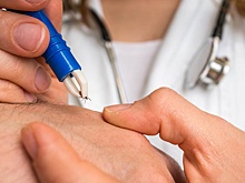 Кто такой Хасеки? Обнаружен новый вирус, передающийся людям от клещей