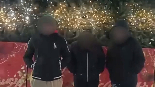 Полиция задержала вандалов, разгромивших главную елку города