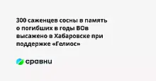 300 саженцев сосны в память о погибших в годы ВОв высажено в Хабаровске при поддержке «Гелиос»