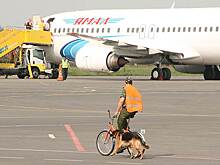 Авиакомпанию «Ямал» хотят лишить прав на полеты в Душанбе