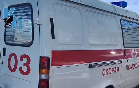 В Курской области 11 человек отравились грибами