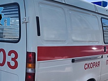 В Курской области 11 человек отравились грибами