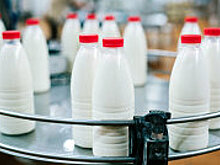 Минсельхозы Беларуси и РФ до конца недели обсудят "молочную проблему"