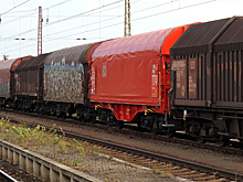 Подросток, попавший под колеса поезда в Перевозском районе, пытался спасти собаку