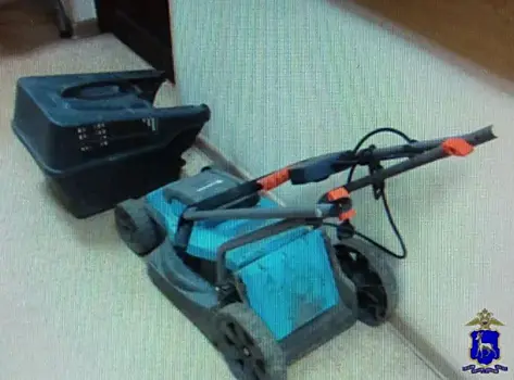 В Самарской области двое мужчин украли у пенсионерки газонокосилку за 45 тысяч рублей