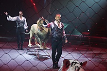 «Заслуживают»: Эдгард Запашный призвал к строительству цирка в Севастополе