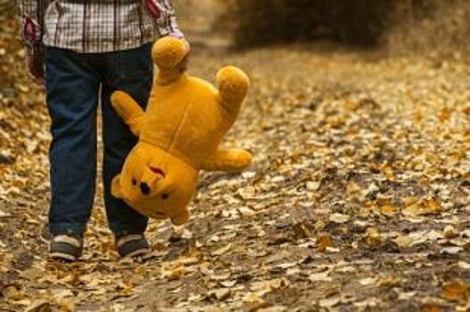 В Кемерове 6-летний мальчик пытался найти дорогу домой и потерялся