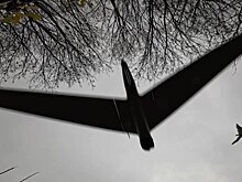 Британская пресса подсчитала, во сколько обошлась оборона НАТО от беспилотников