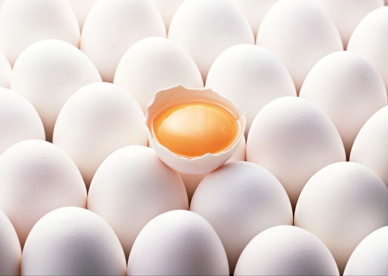 Минсельхоз: «Калужская область внесет свой вклад в производство яйца»