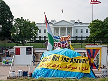 Дональд Трамп лишил синего тента активистов "Бдения мира" у Белого дома