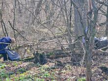 В Курской области в соцсетях опубликовано около 2000 постов с хэштегом уборка46