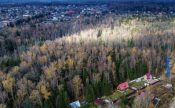 Под прикрытием коронавируса власти в тихую продают природоохранные земли застройщикам