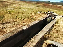 Минобороны: уничтожены двое устроивших теракт на белгородском полигоне боевиков