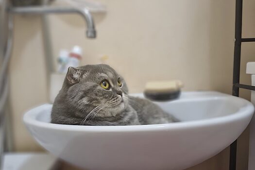 Со 2 по 8 июня 14 улиц Курска останутся без горячей воды