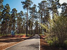 В Тольятти уже наполовину сделали экопарк в микрорайоне Шлюзовом