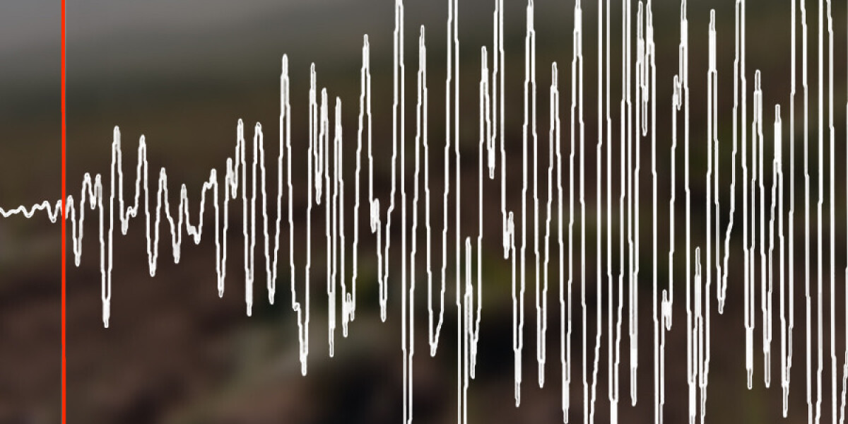 Землетрясение магнитудой 3,9 зафиксировано у берегов Камчатки