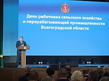 Волгоградские аграрии произвели товары на 410 миллиардов рублей