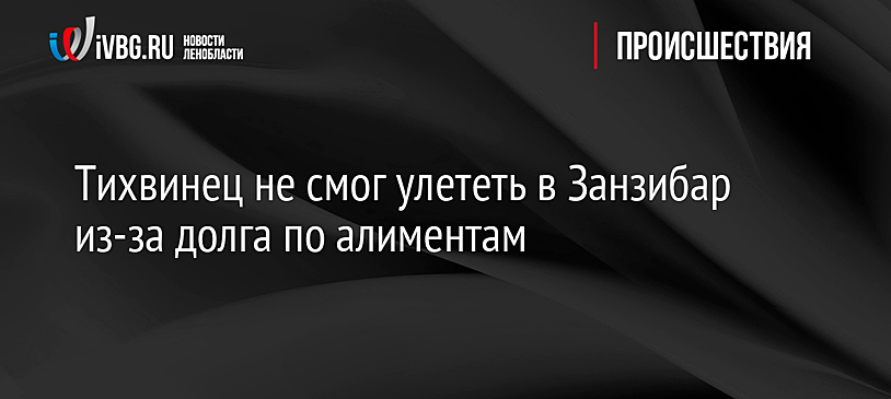Тихвинец не смог улететь в Занзибар из-за долга по алиментам