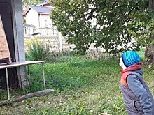 Жителей города Сортавала научат метать ножи