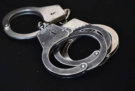 Российские полицейские с помощью Интерпола задержали торговца детским порно