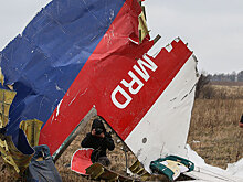 Свидетеля по делу MH17 попросили попридержать