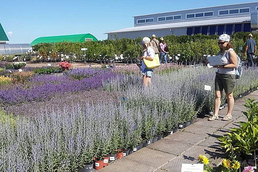 Как нацпроект помог малому бизнесу в Севастополе и Самаре