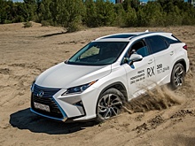 Переходим на джипы: новосибирцы полюбили подержанные Lexus RX и Honda CR-V