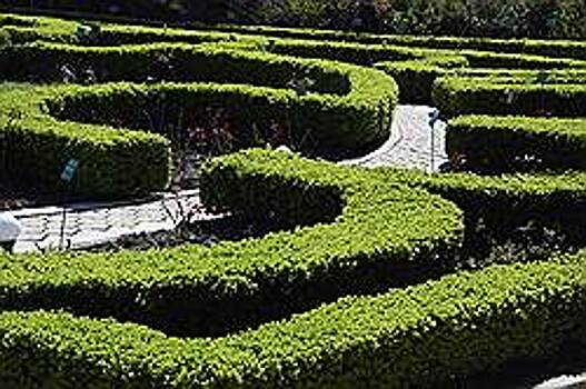 Цветников в Самаре станет на 35% больше