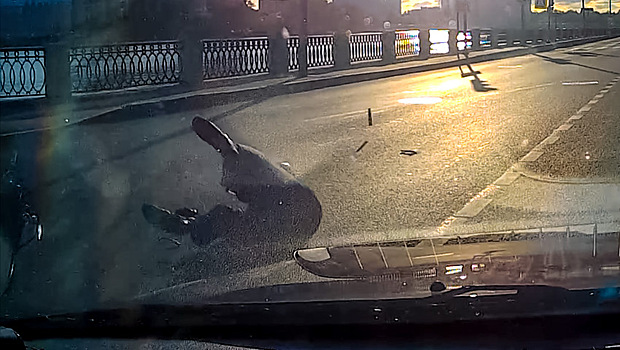 Спорный момент: ГИБДД разъяснила, кто виноват в ДТП с мотоциклистом