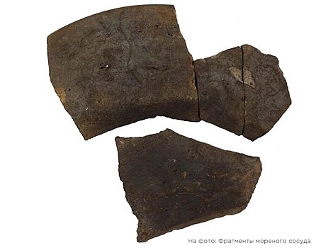 Археолог нашел при раскопках в центре Саратова осколки старинной посуды XVII – XX веков
