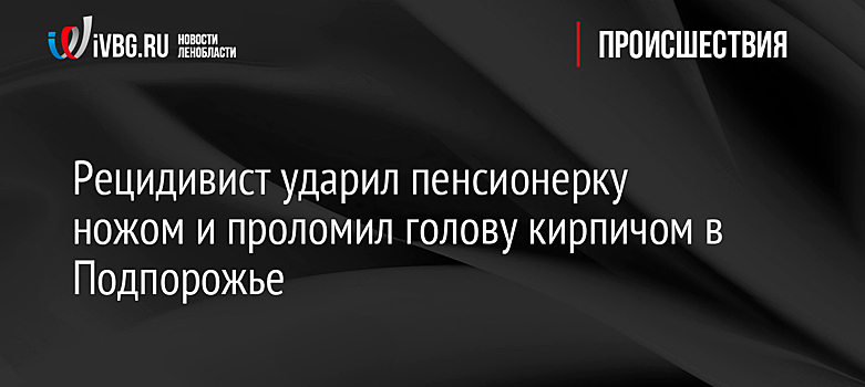 Рецидивист ударил пенсионерку ножом и проломил голову кирпичом в Подпорожье