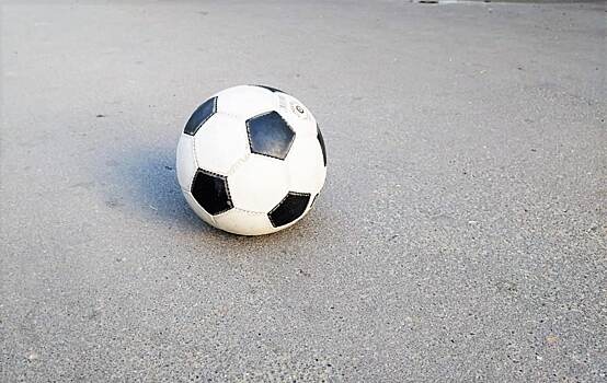 В Сокольниках пройдет футбольный фестиваль с участием звезд