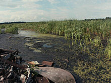 Минстрой отказался от идеи разрешить свалки на болотах