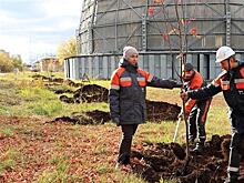 Сотрудники Новокуйбышевской ТЭЦ-1 провели экологическую акцию