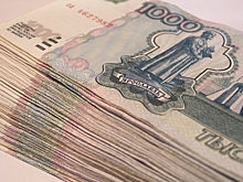 В Оренбуржье директор птицефабрики оштрафован на 900 тыс. рублей