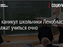 После каникул школьники Ленобласти продолжат учиться очно