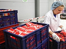 "Виола" приобрела у "Эфко" завод по производству молочной продукции