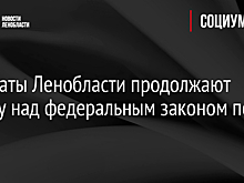 Депутаты Ленобласти продолжают работу над федеральным законом по МСУ