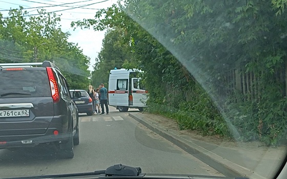 В рязанской Соколовке сбили пешехода