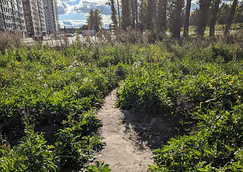 В Туле возвели крупный жилой комплекс, однако не предусмотрели тротуары для доступа к нему