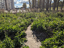 В Туле возвели крупный жилой комплекс, однако не предусмотрели тротуары для доступа к нему