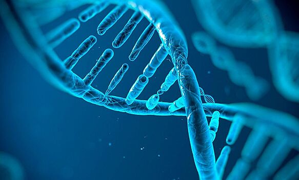 Ученые впервые отредактировали геном человека