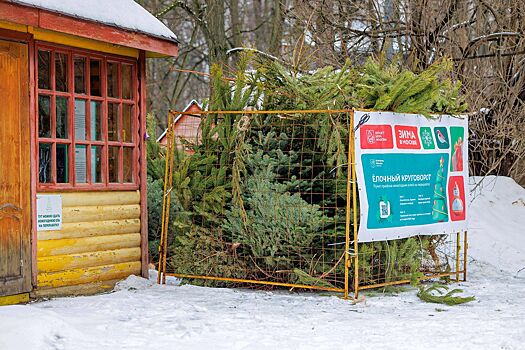 Москвичей приглашают принять участие в акции «Елочный круговорот» и получить городские баллы