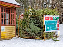 Москвичей приглашают принять участие в акции «Елочный круговорот» и получить городские баллы