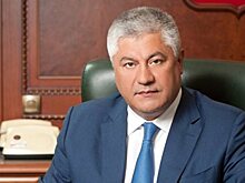 Колокольцев  объяснил рост преступности в РФ