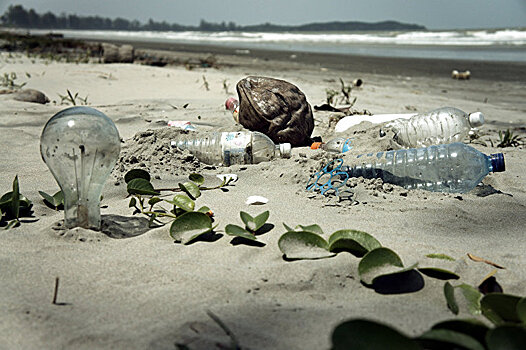 Нет пластмассы — здоровее океаны