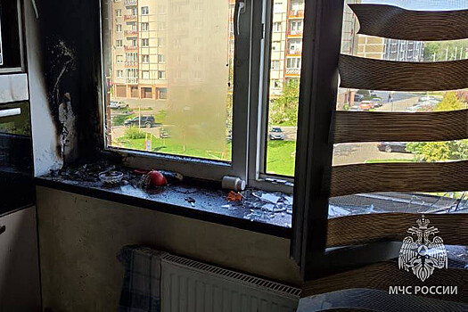Российская квартира чуть не сгорела из-за вазы, оставленной на подоконнике