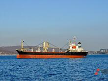 Французская компания GTT разрывает отношения с Россией