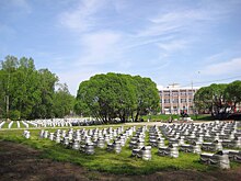 Питерская художница устроила БДСМ-фотосессию на кладбище. Полиция идею не оценила