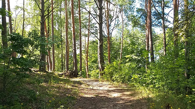 Названы экотропы, которые свяжут Петербург и Ленобласть